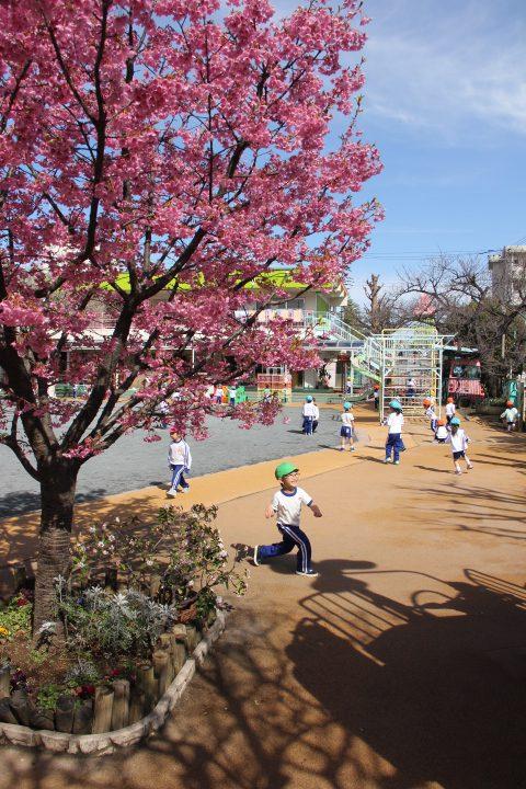 今日の幼稚園